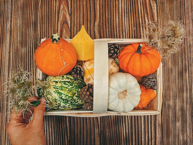 Seasonal produce box